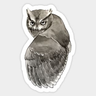 Screech Owl Cute Realistic Sticker